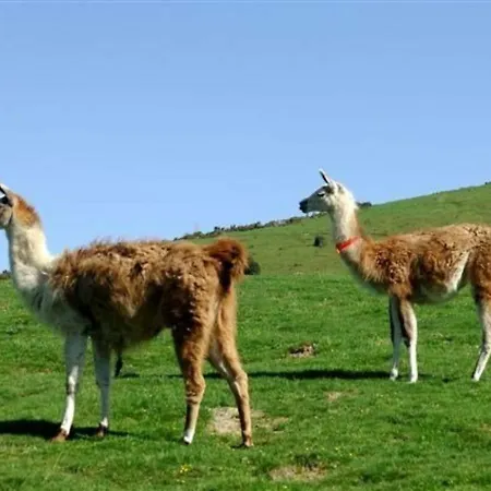 Appartamento La Mongie, 2 Pièces, 4 Personnes - Fr-1-404-336