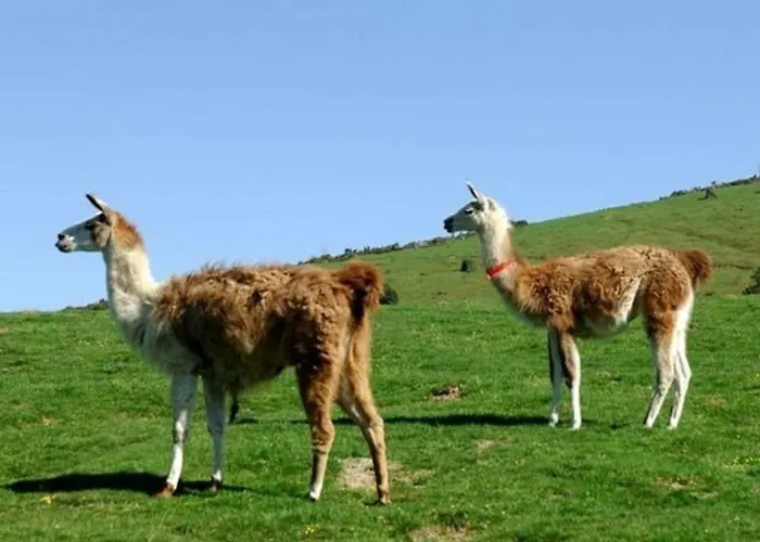 Appartement La Mongie, 2 Pièces, 4 Personnes - Fr-1-404-336